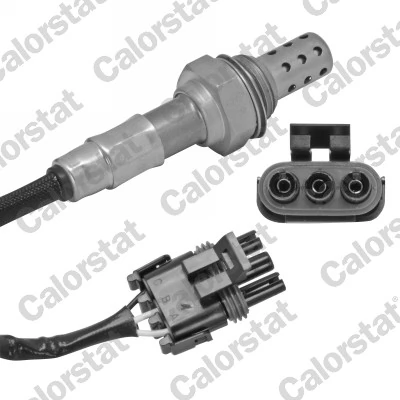 Oxygen Sensor